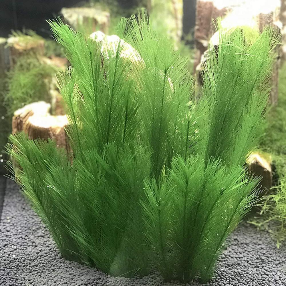 Aquarium Plant Live - 1/3Pcs 28/40cm Aquarium Fish Tank Artificial