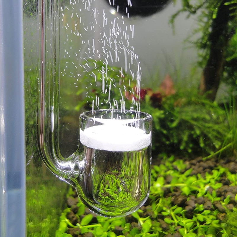Planted Aquarium Supplies - D0AD Glass CO2 Diffuser for Aquarium,