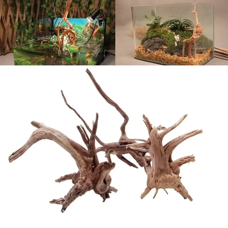 Aquarium Plant Live - Natural Tree Trunk Driftwood Aquarium Fish