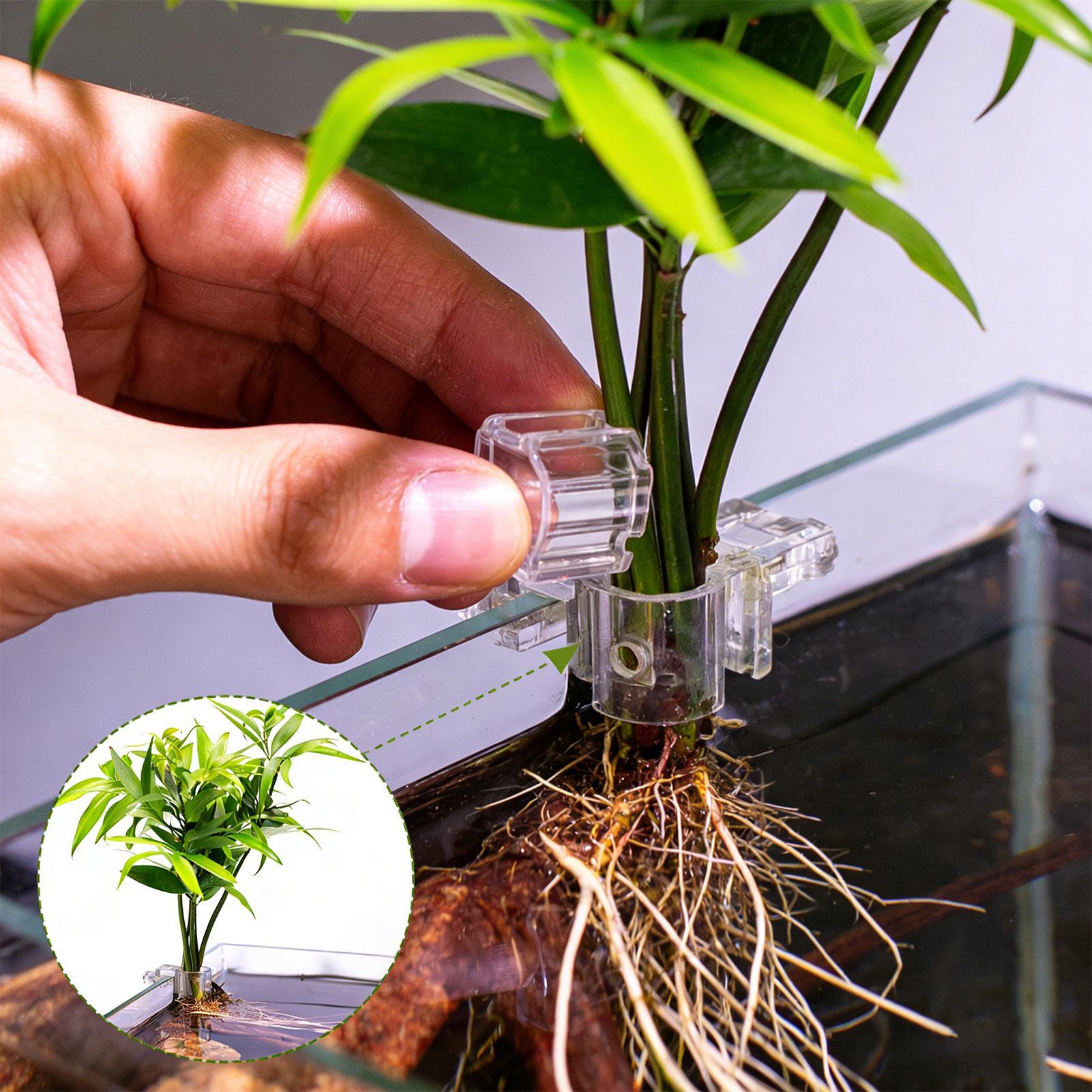 Aquarium Plant Live - 6pcs Aquarium Plant Holders Clear Planting