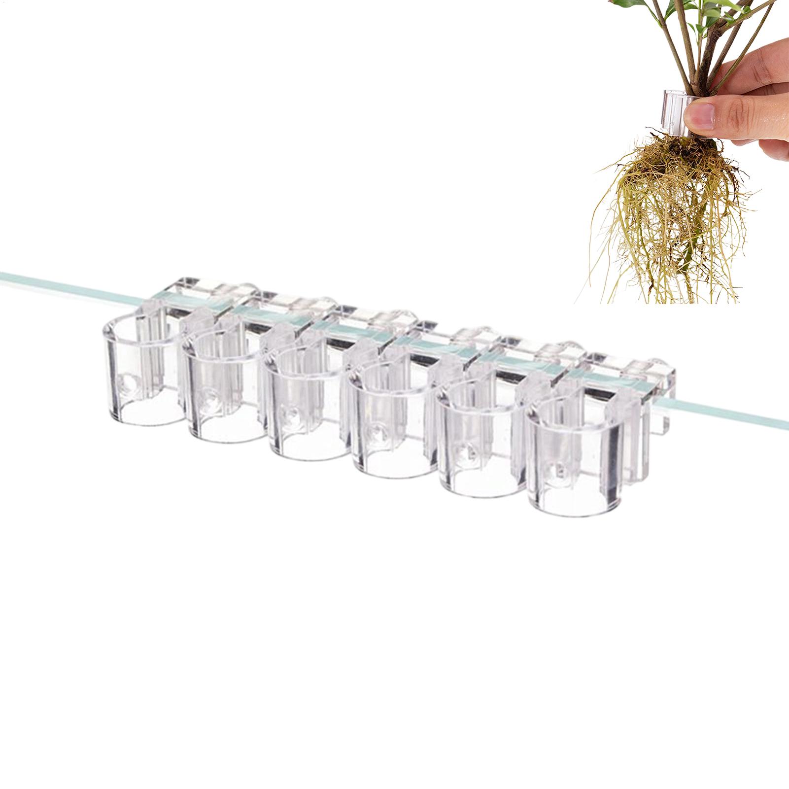 Aquarium Plant Live - Plant Holder For Aquarium 6 Pieces