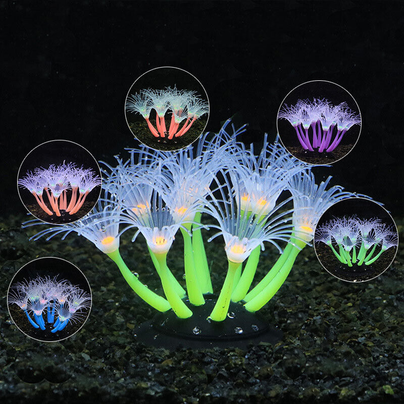Silicone Glowing Landscape Art - Aquarium Plant Live review and price