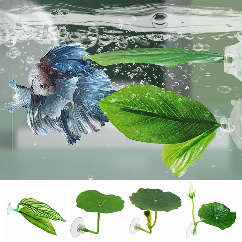 Plastic Betta Fish Rest Leaf S - Aquarium Plant Live review and price