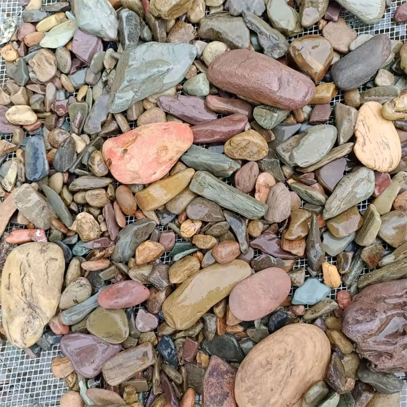 500g Fish Tank Bottom Sand Sto - Planted Aquarium With Sand review and price