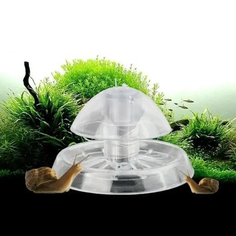 2026 New 6/8CM Clear Plastic S - Planted Aquarium Supplies review and price