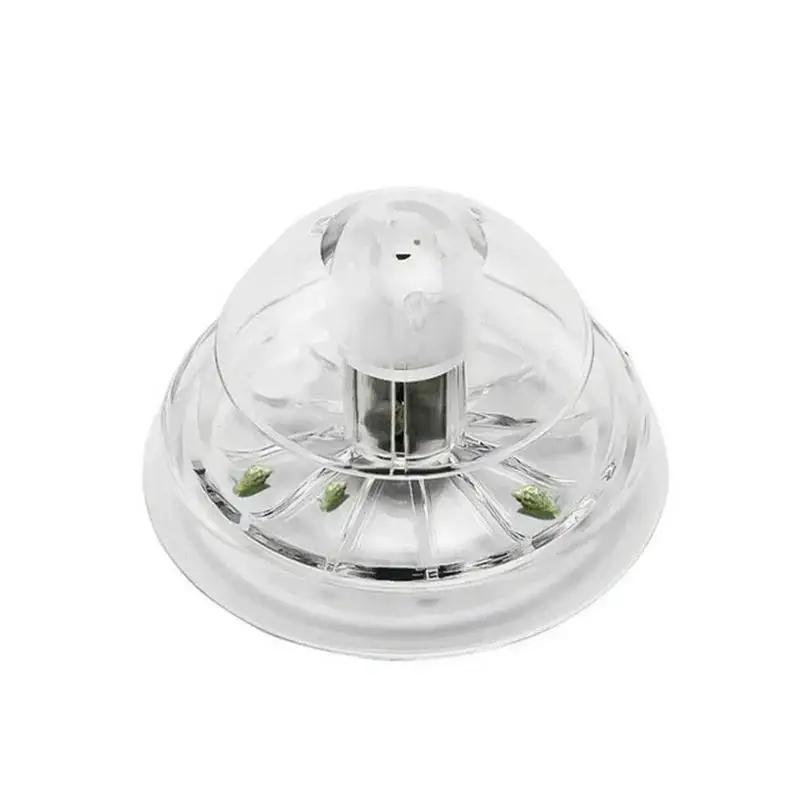 2026 New 6/8CM Clear Plastic S - Planted Aquarium Supplies review and price