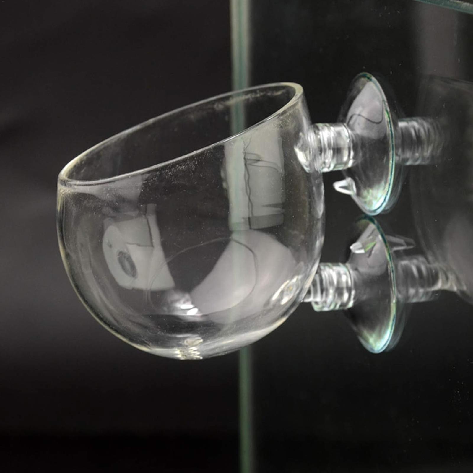 Aquarium Plant Holder Glass Aq - Aquarium Plant Live review and price