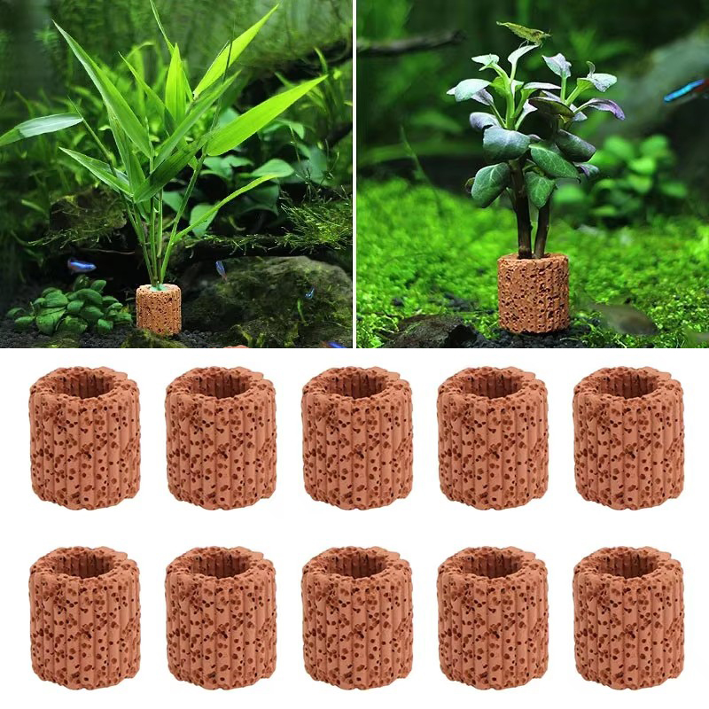 Aquatic Plant Fixed Ring for A - Aquarium Plant Live review and price