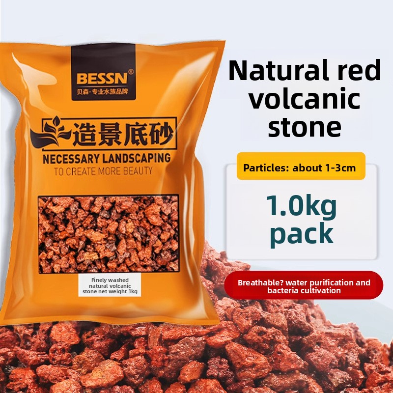 BESSN Volcanic Rock Aquarium S - Planted Aquarium With Sand review and price