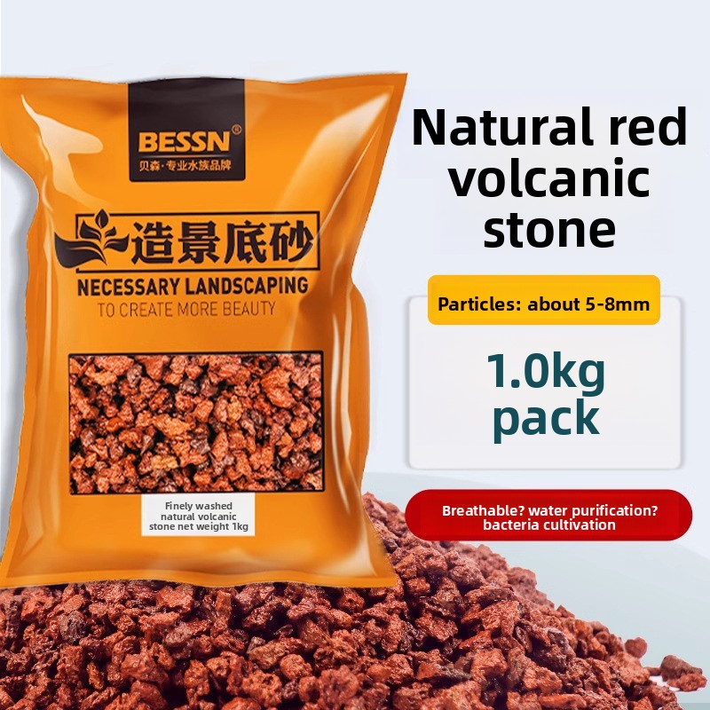 BESSN Volcanic Rock Aquarium S - Planted Aquarium With Sand review and price