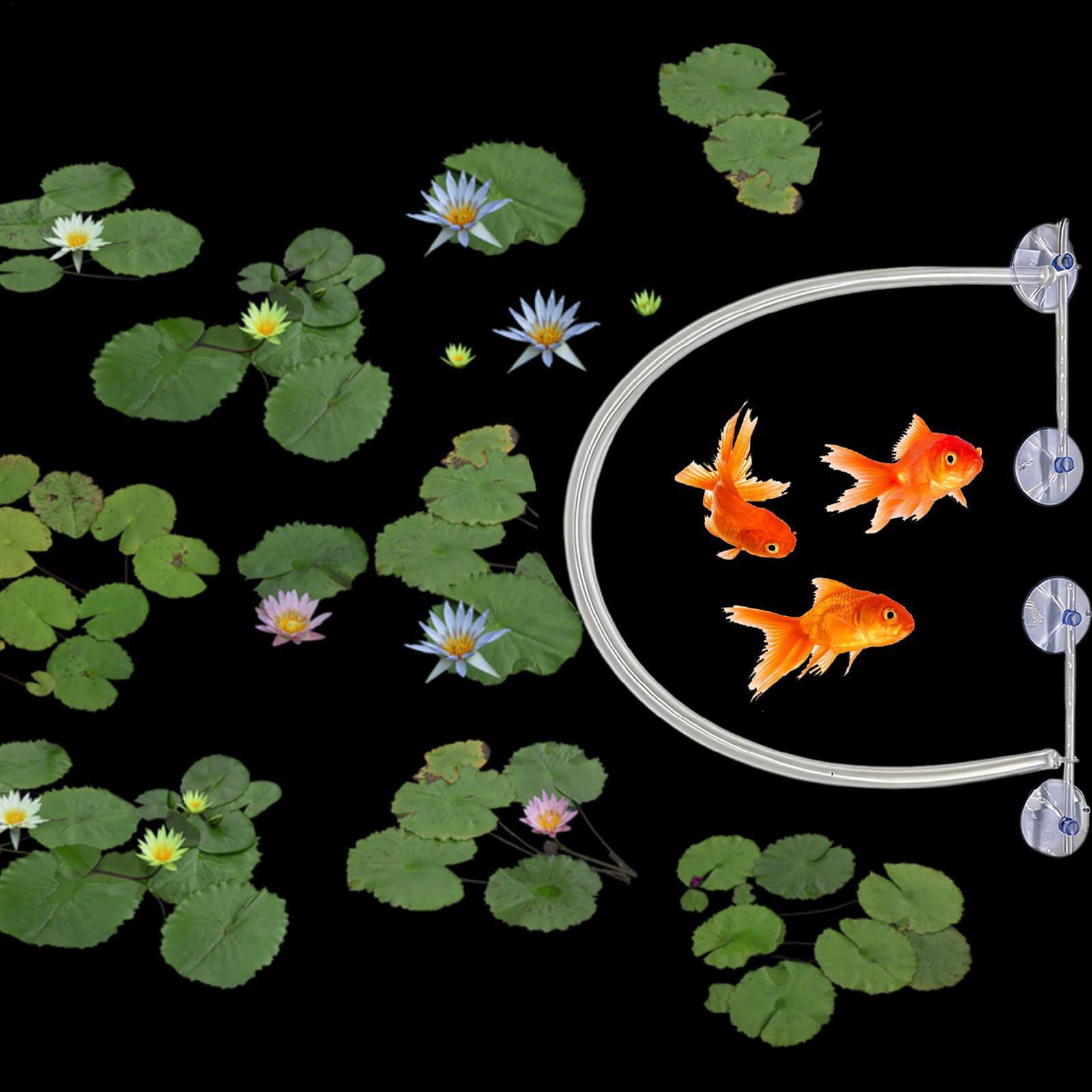 Floating Plant Corral Auto Hei - Planted Aquarium Tank Kit review and price