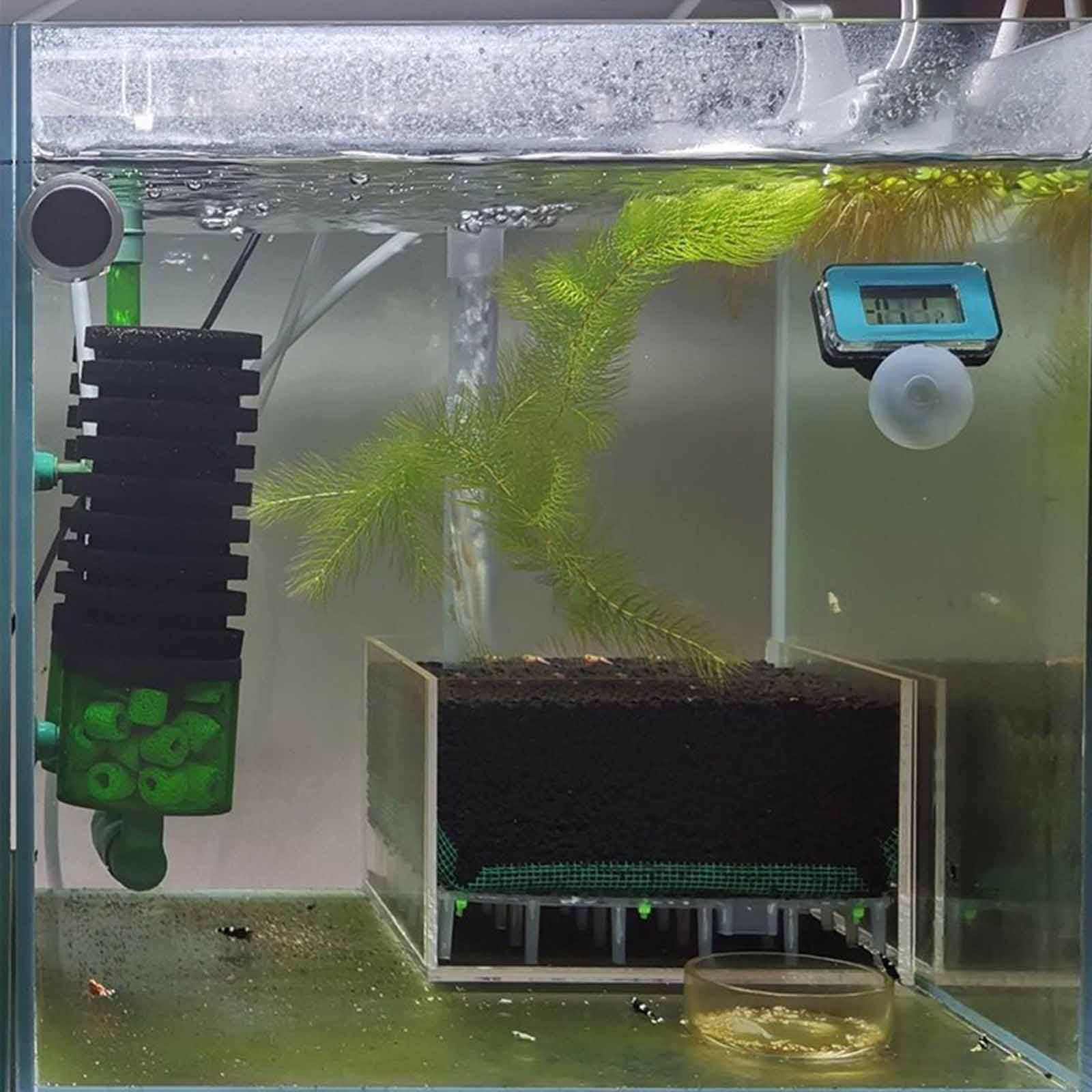 Transparent Acrylic Aquarium F - Planted Aquarium Undergravel Filter review and price