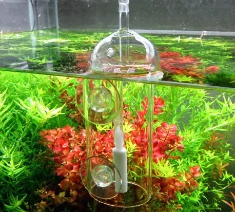 VIV Do Device Aquarium Cylinde - Planted Aquarium Supplies review and price