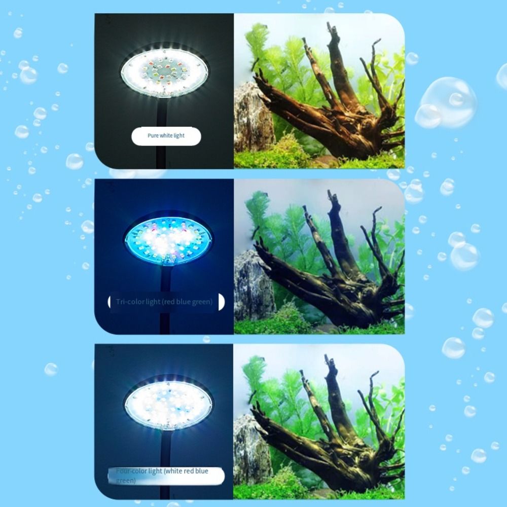 Mini Fish Tank Clip Lamp 360-D - Planted Aquarium Mini review and price