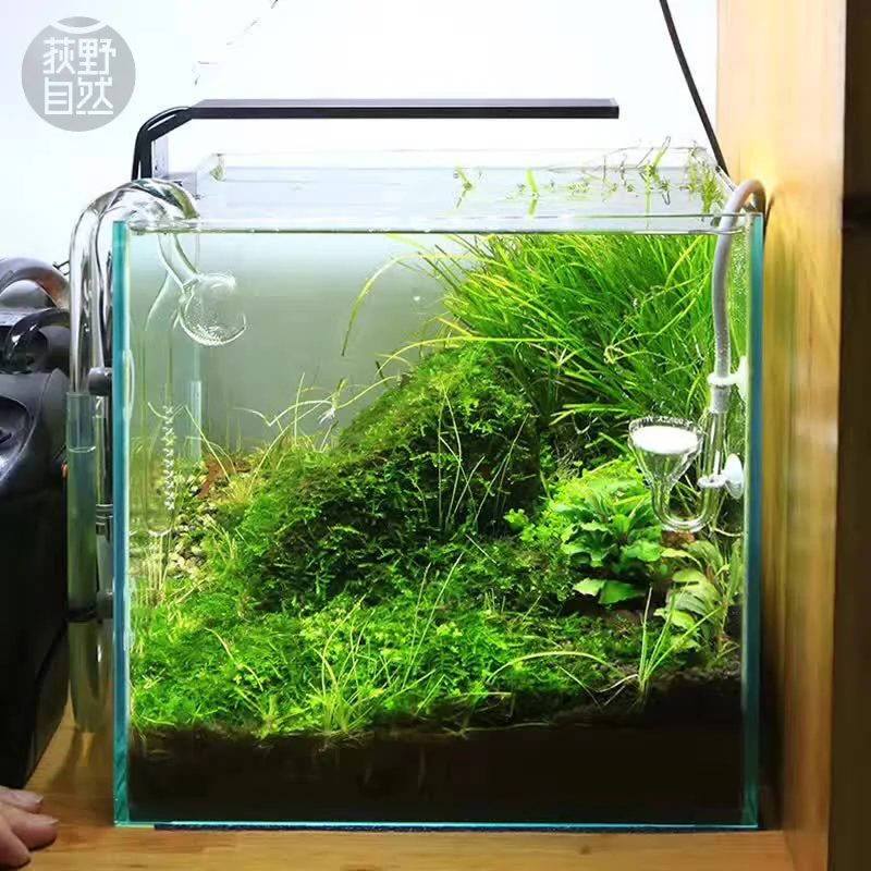 Chihiros C Series ADA Style Pl - Planted Aquarium Mini review and price