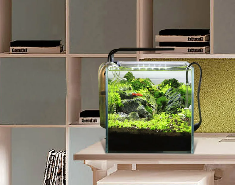 Chihiros C Series ADA Style Pl - Planted Aquarium Mini review and price