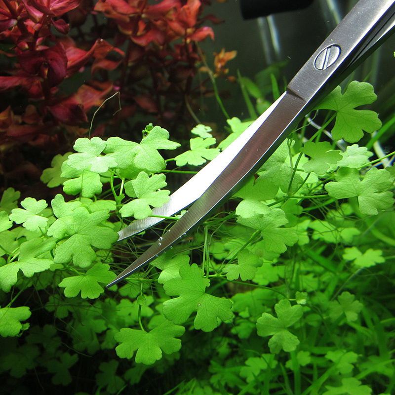 Aquarium Accessories Hard Stai - Planted Aquarium Tools review and price