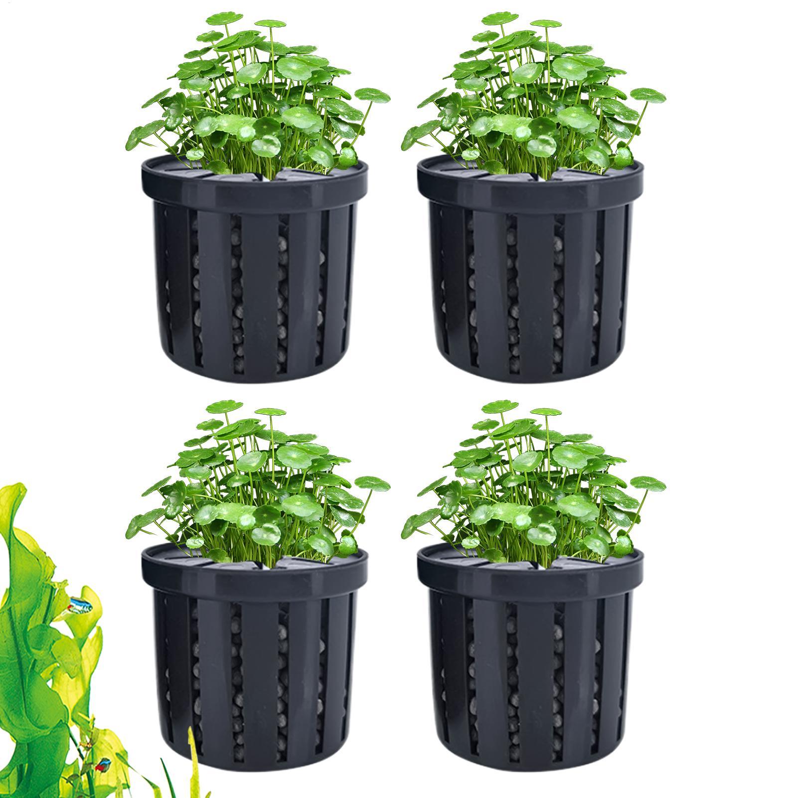 4 Pieces Aquarium Planter Pot  - Aquarium Plant Live review and price