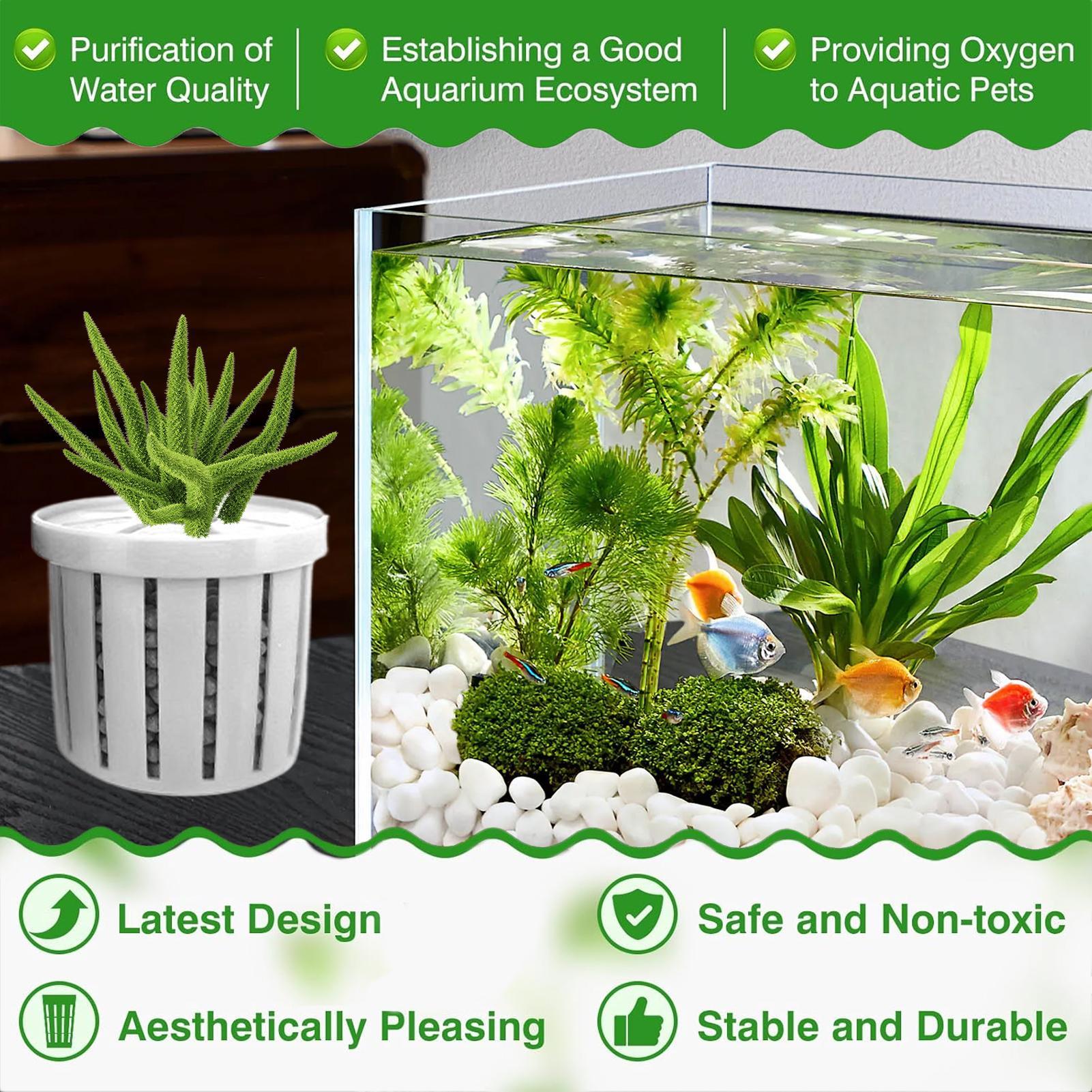 4 Pieces Aquarium Planter Pot  - Aquarium Plant Live review and price