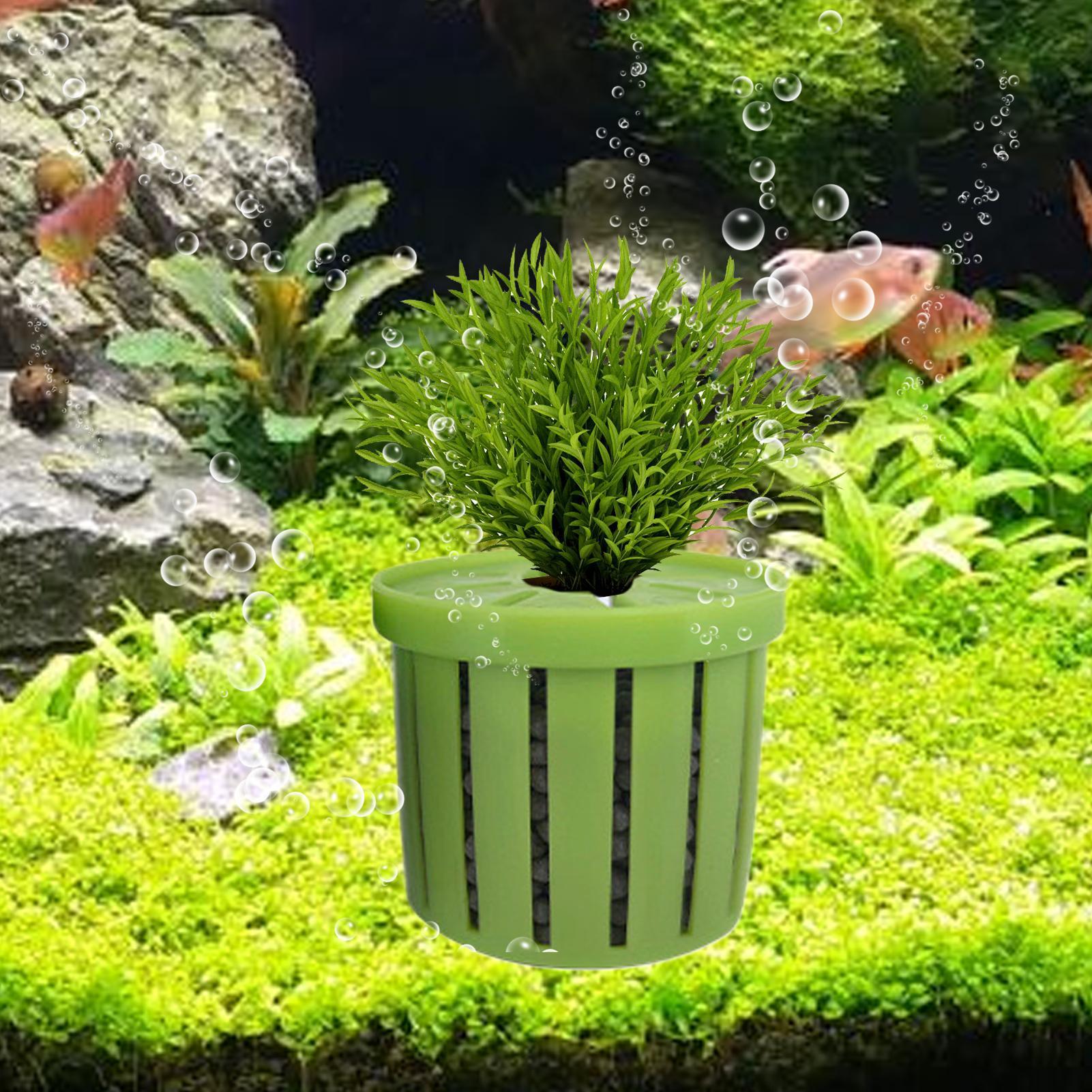 4 Pieces Aquarium Planter Pot  - Aquarium Plant Live review and price