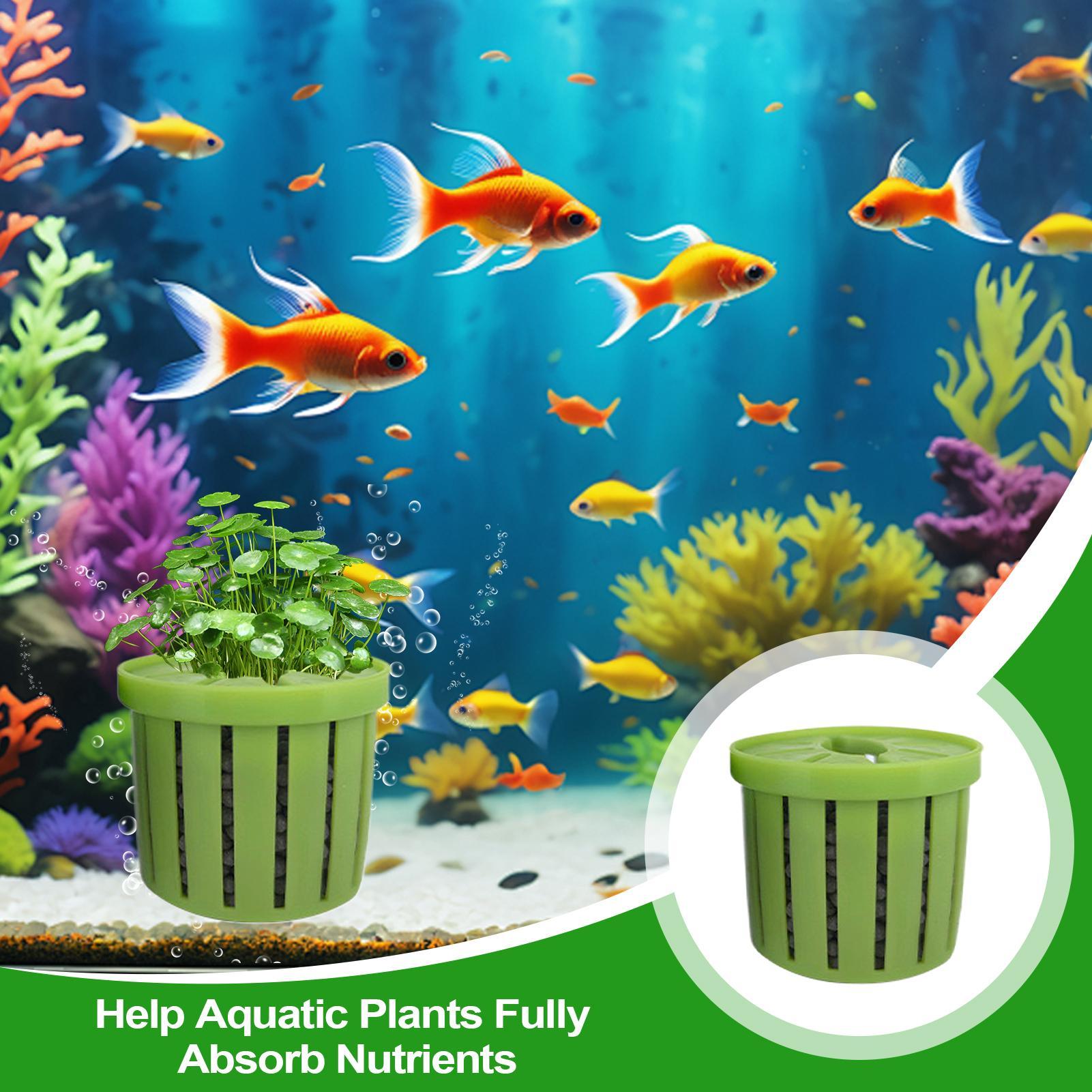 4 Pieces Aquarium Planter Pot  - Aquarium Plant Live review and price