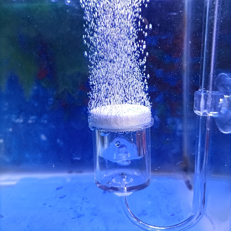 Aquarium Glass CO2 Atomizer Di - Planted Aquarium Supplies review and price