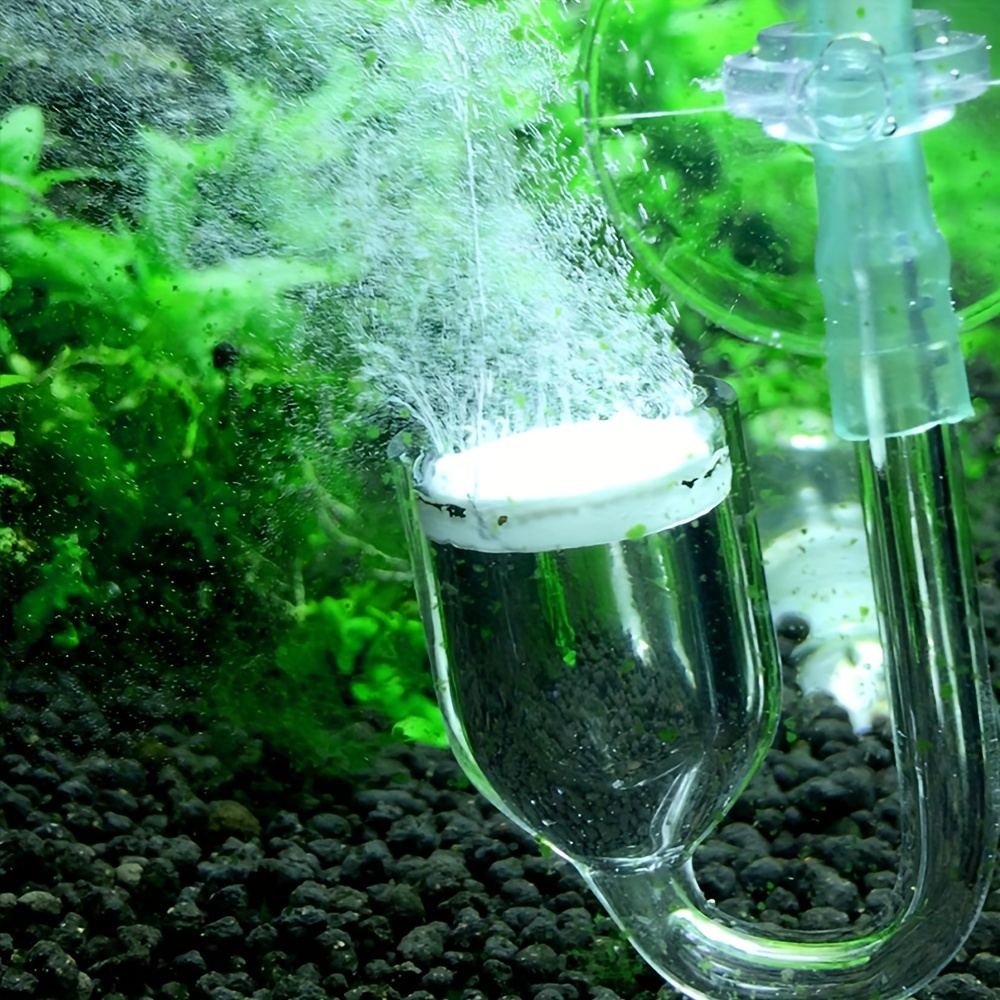 Aquarium Glass CO2 Atomizer Di - Planted Aquarium Supplies review and price