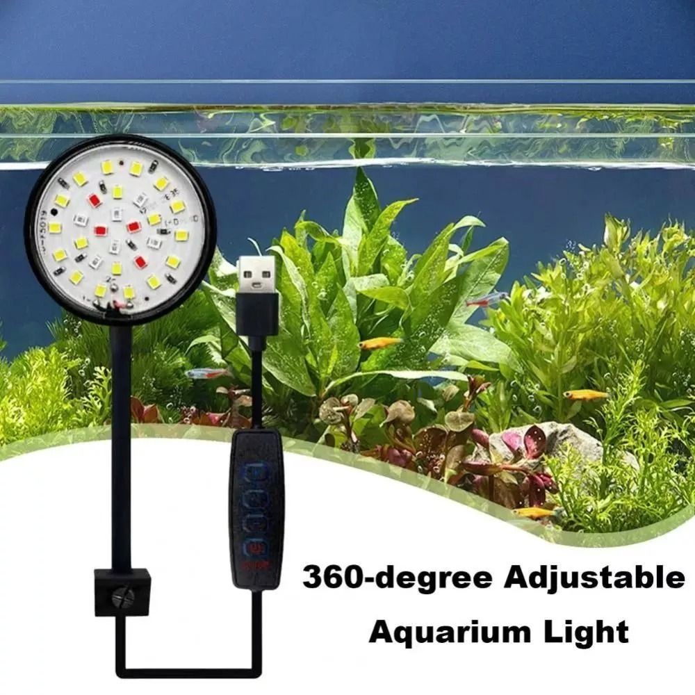 New Mini Fish Tank Clip Lamp 5 - Planted Aquarium Mini review and price