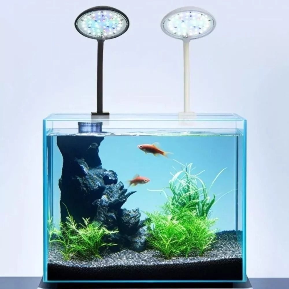 New Mini Fish Tank Clip Lamp 5 - Planted Aquarium Mini review and price