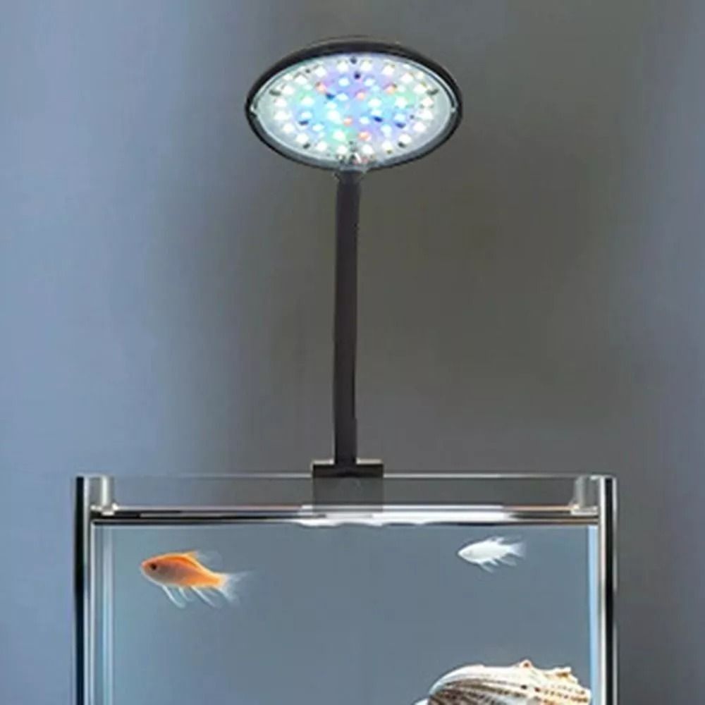New Mini Fish Tank Clip Lamp 5 - Planted Aquarium Mini review and price
