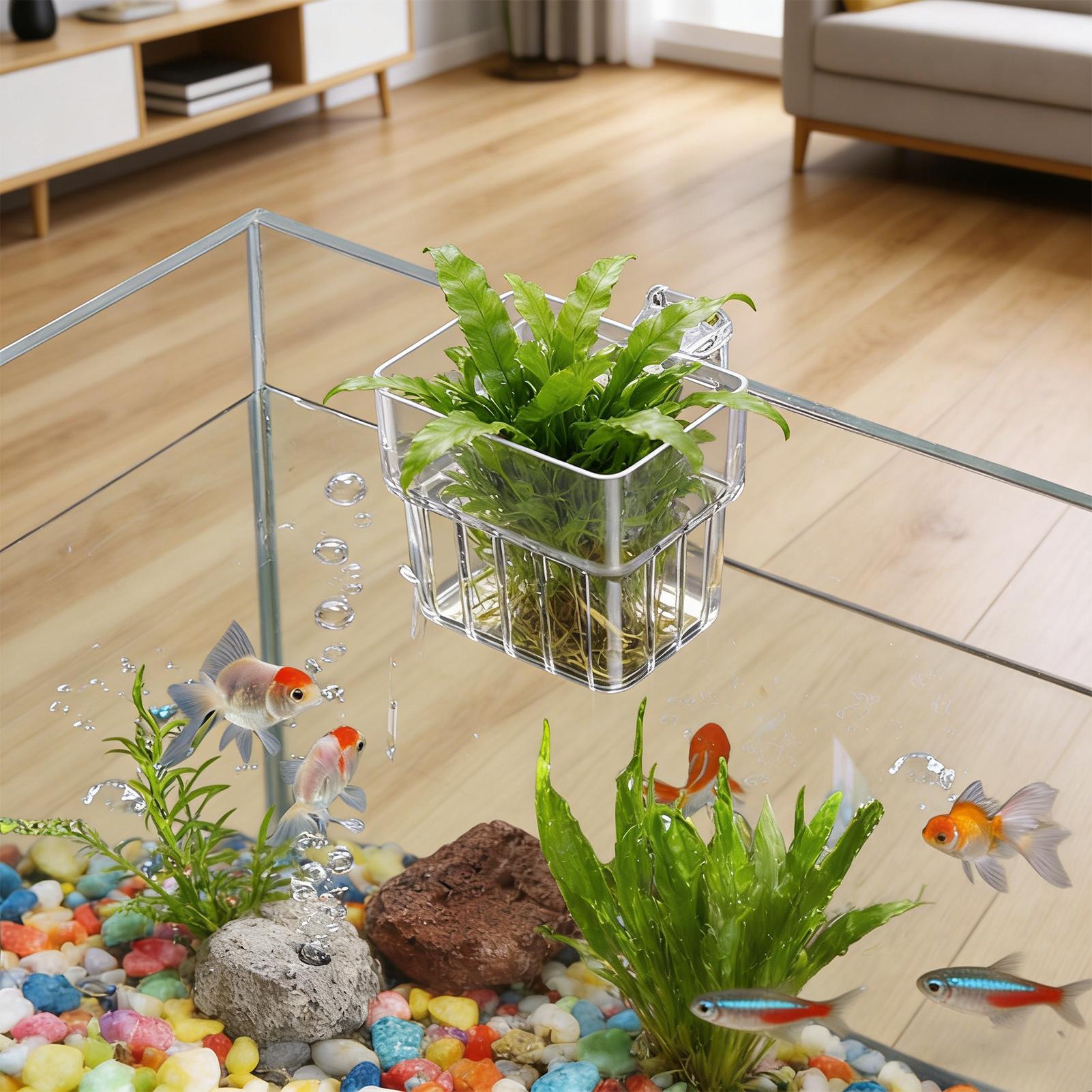 Transparent Hangable Aquarium  - Aquarium Plant Live review and price