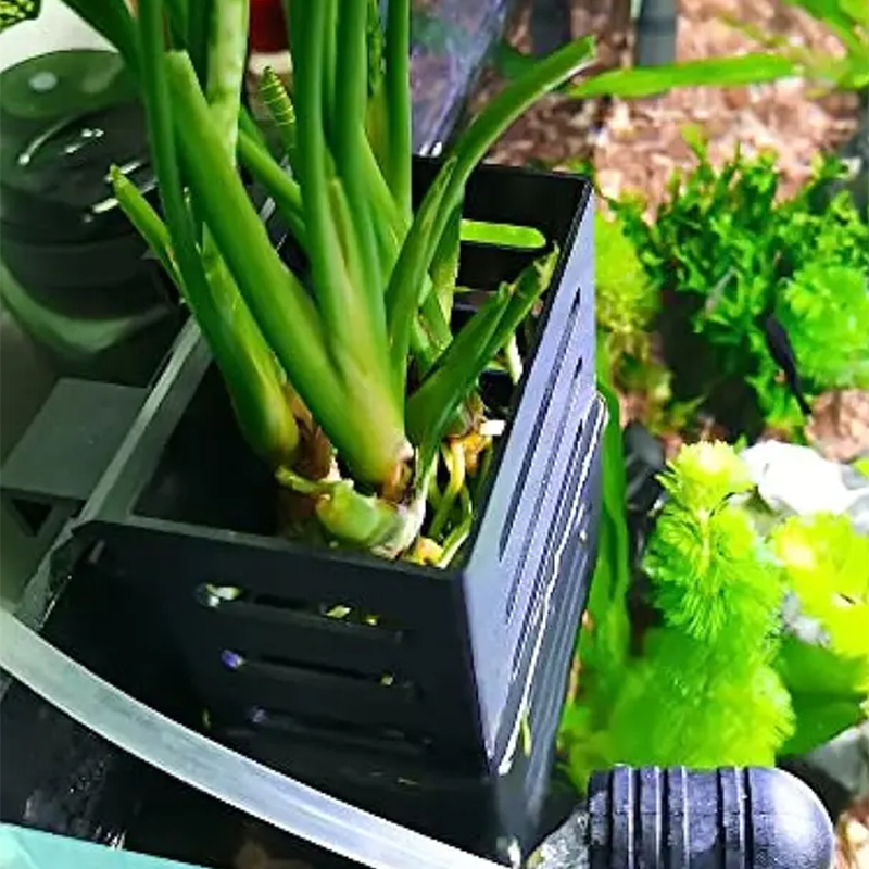 Pet Fish Tank Decorations Aqua - Aquarium Plant Live review and price