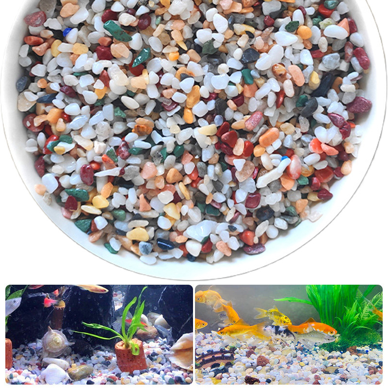 Natural Gravel Stone 200~1000g - Planted Aquarium With Sand review and price