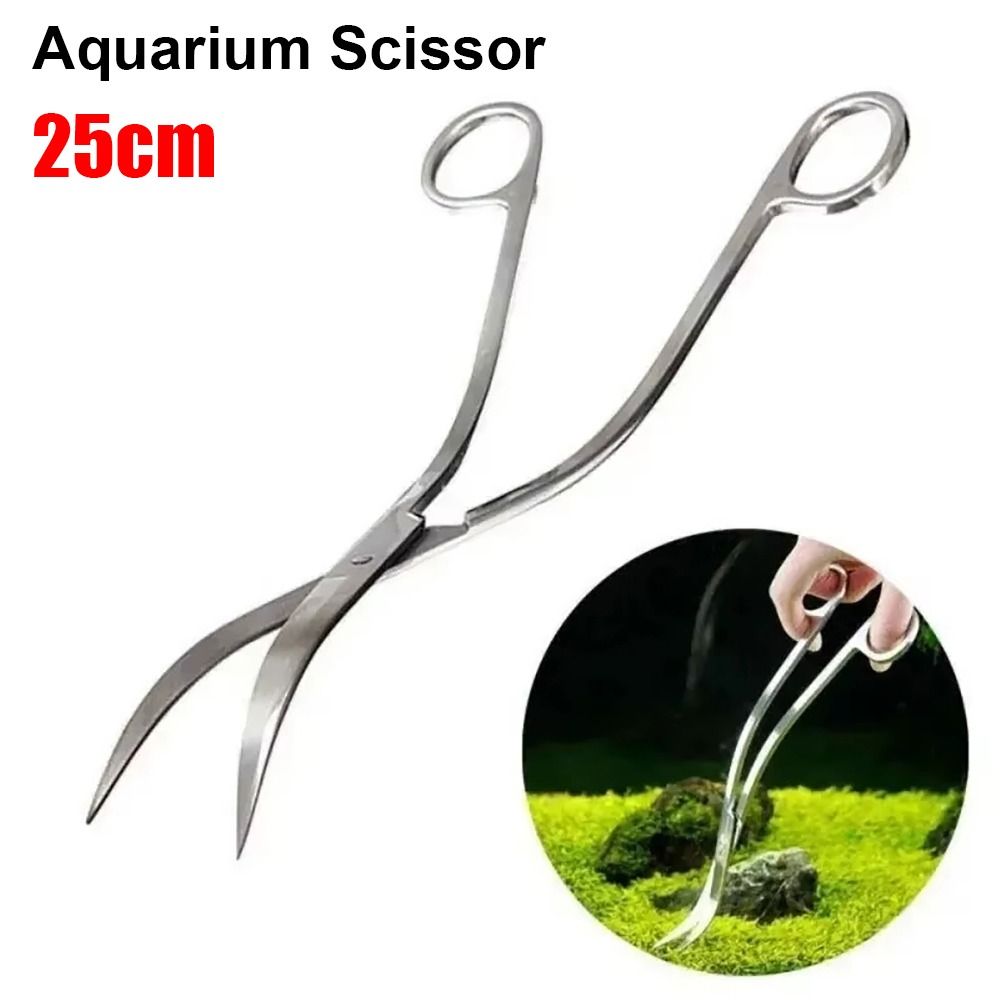 100g Quartz Sand for Potted Pl - Planted Aquarium With Sand review and price