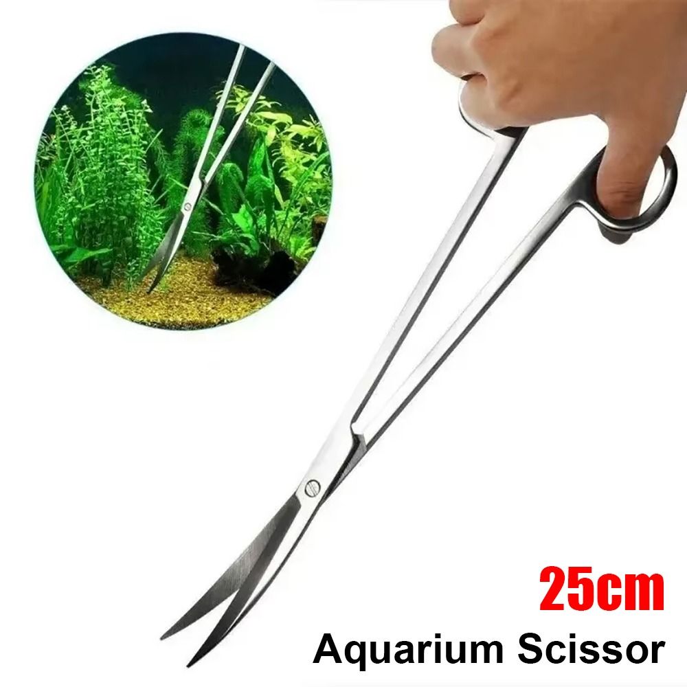 100g Quartz Sand for Potted Pl - Planted Aquarium With Sand review and price