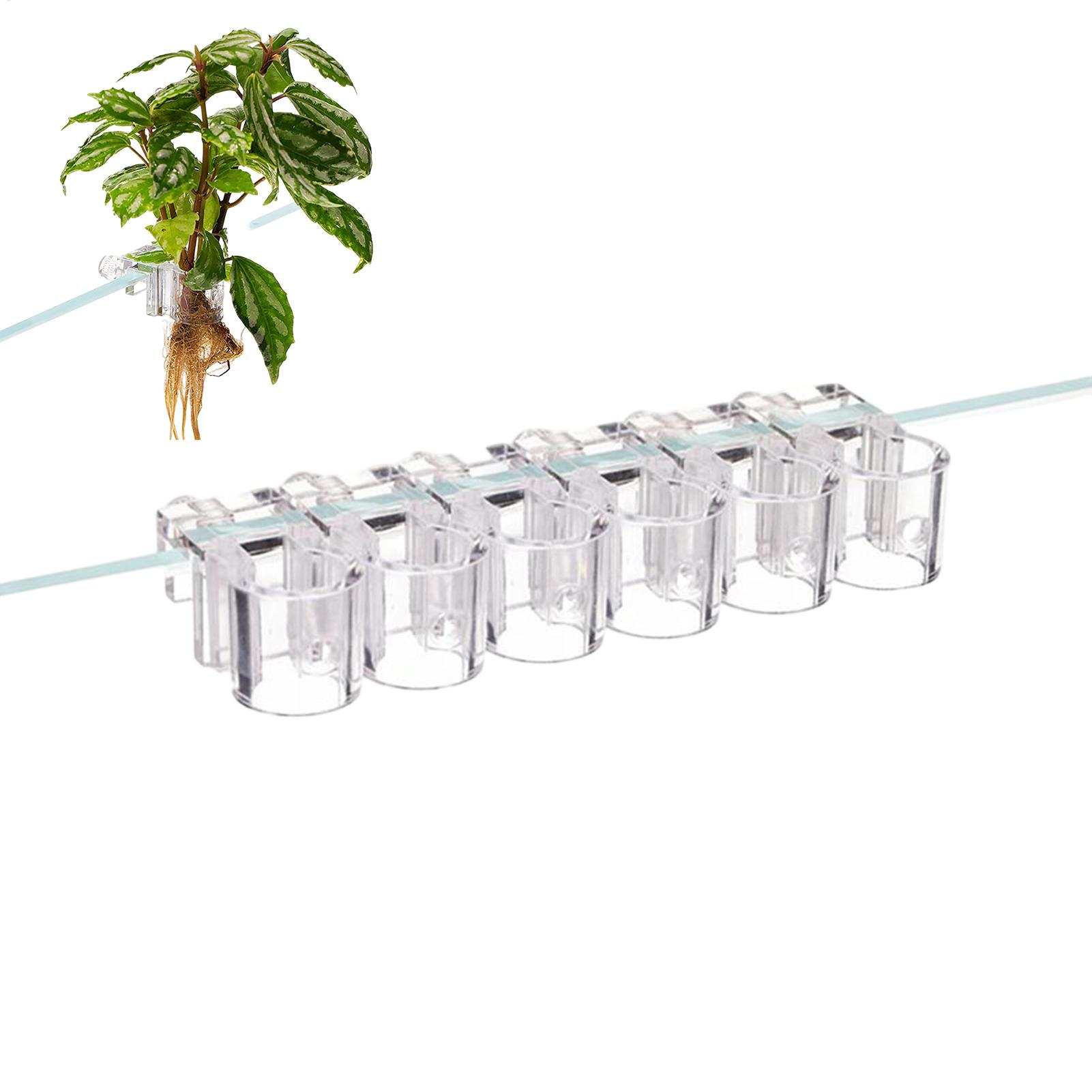 Mini Fish Tank Planter Pot 6Pc - Planted Aquarium Mini review and price