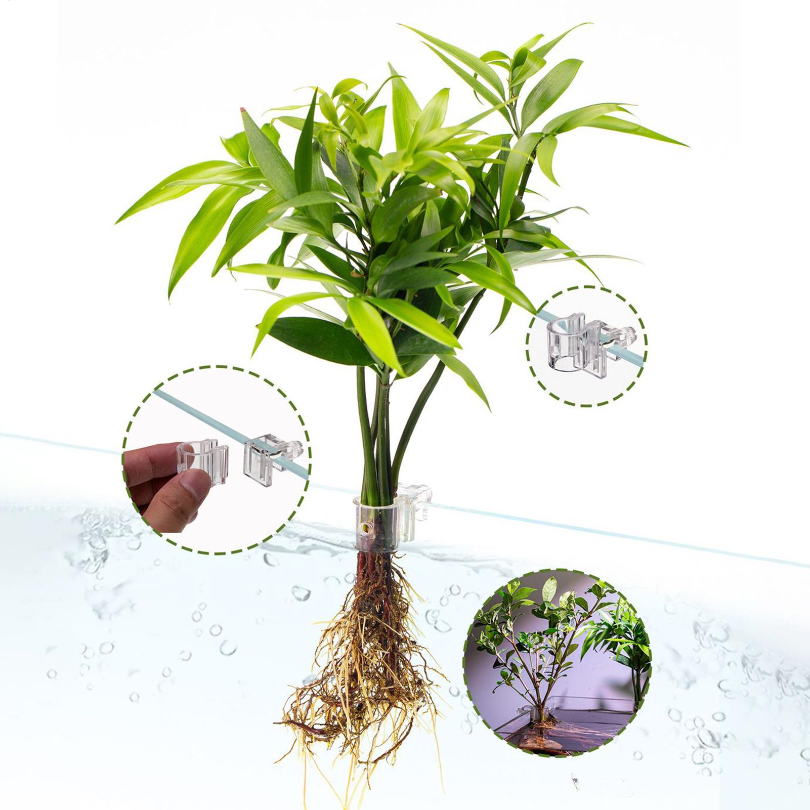 Mini Fish Tank Planter Pot 6Pc - Planted Aquarium Mini review and price