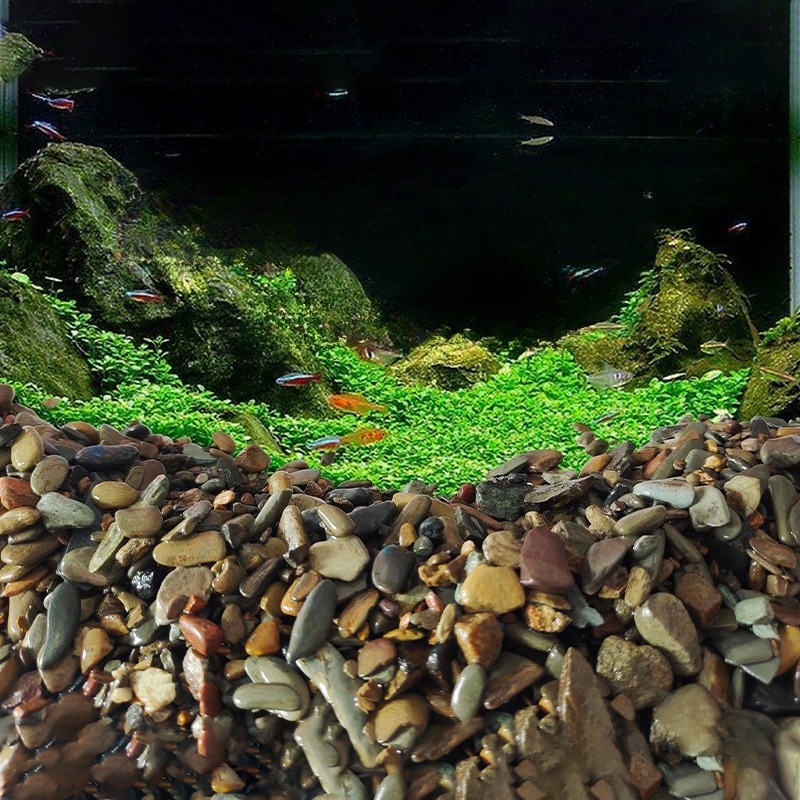 Stream Pebbles Aquarium Bottom - Planted Aquarium With Sand review and price