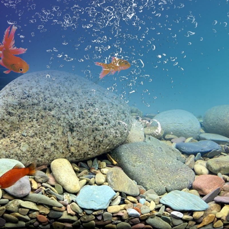 Stream Pebbles Aquarium Bottom - Planted Aquarium With Sand review and price