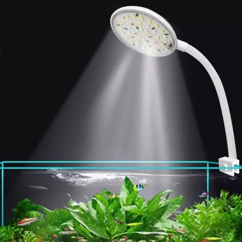 New Mini Fish Tank Clip Lamp 5 - Planted Aquarium Mini review and price