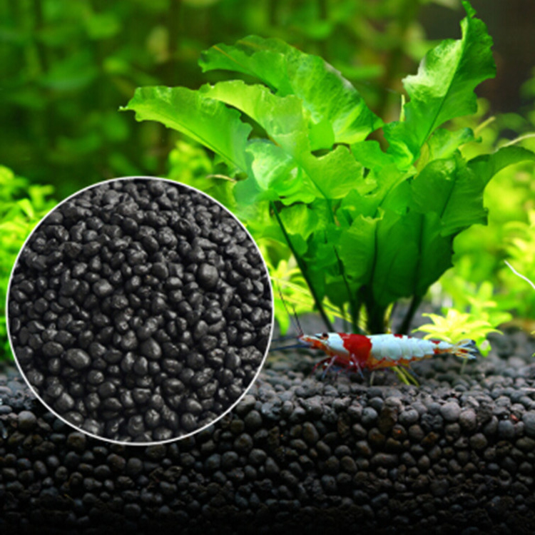 Aquarium Plant Seeds Soil Fish - Planted Aquarium Supplies review and price