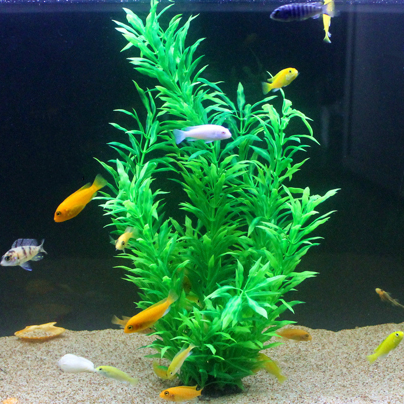 50CM Artificial Fish Tank Rare - Planted Aquarium Supplies review and price