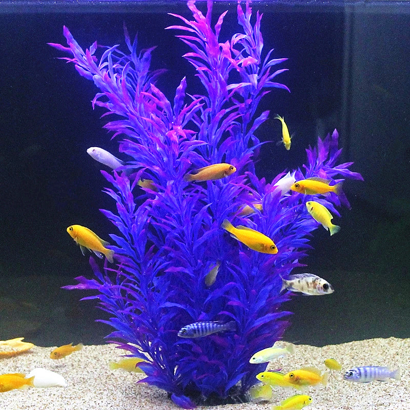 50CM Artificial Fish Tank Rare - Planted Aquarium Supplies review and price