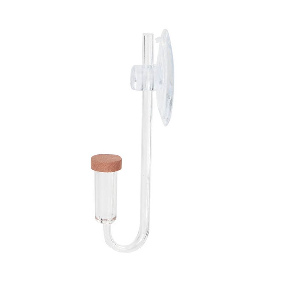 Acrylic Mini Fish Tank Live Pl - Planted Aquarium Supplies review and price