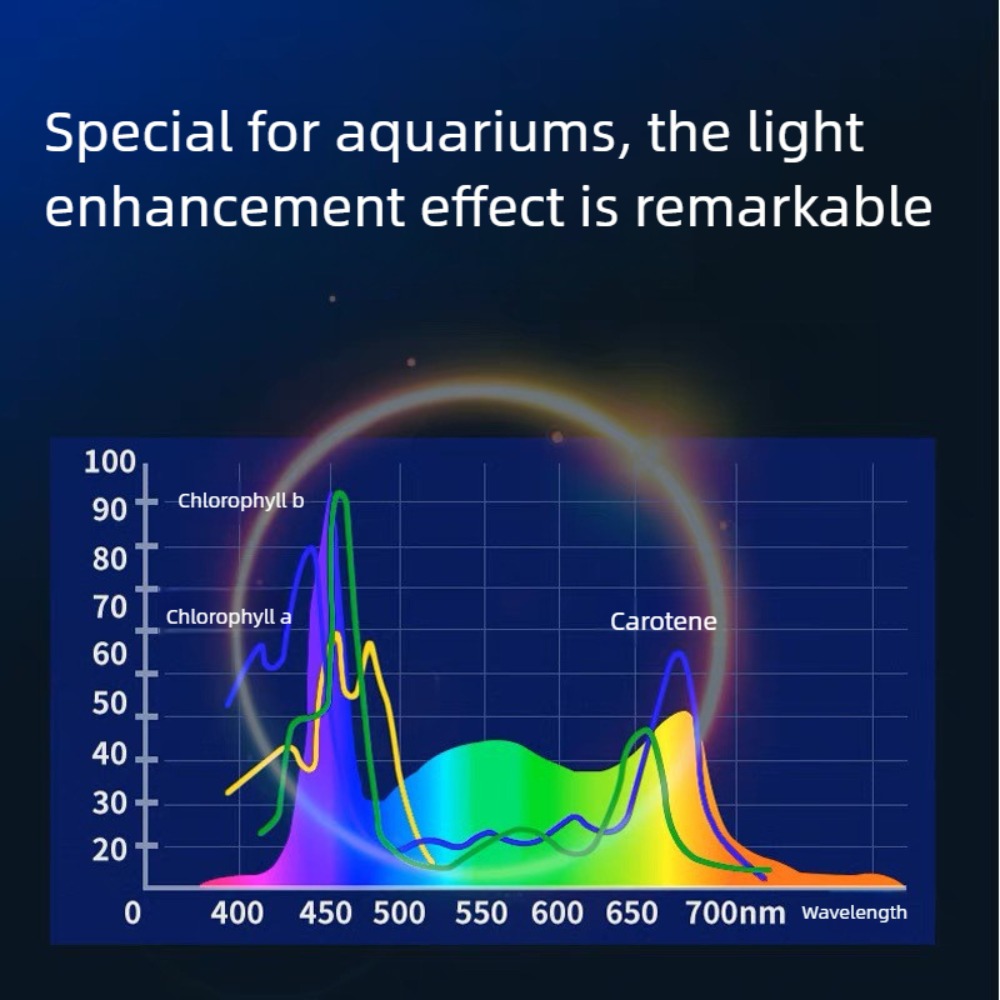 Mini Clip On Fish Tank Light D - Planted Aquarium Mini review and price