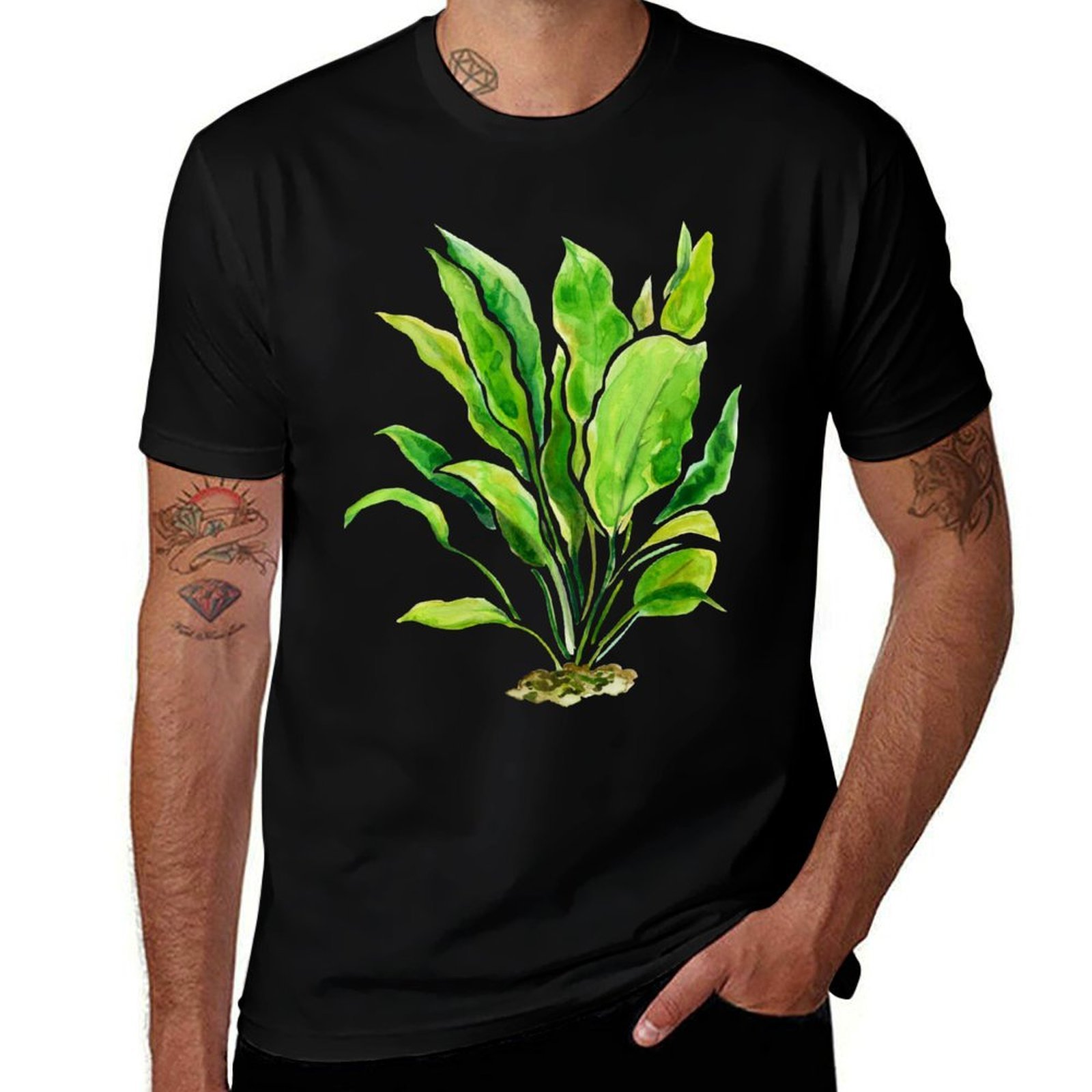 Aquarium Plants Series Amazon  - Planted Aquarium Basics review and price
