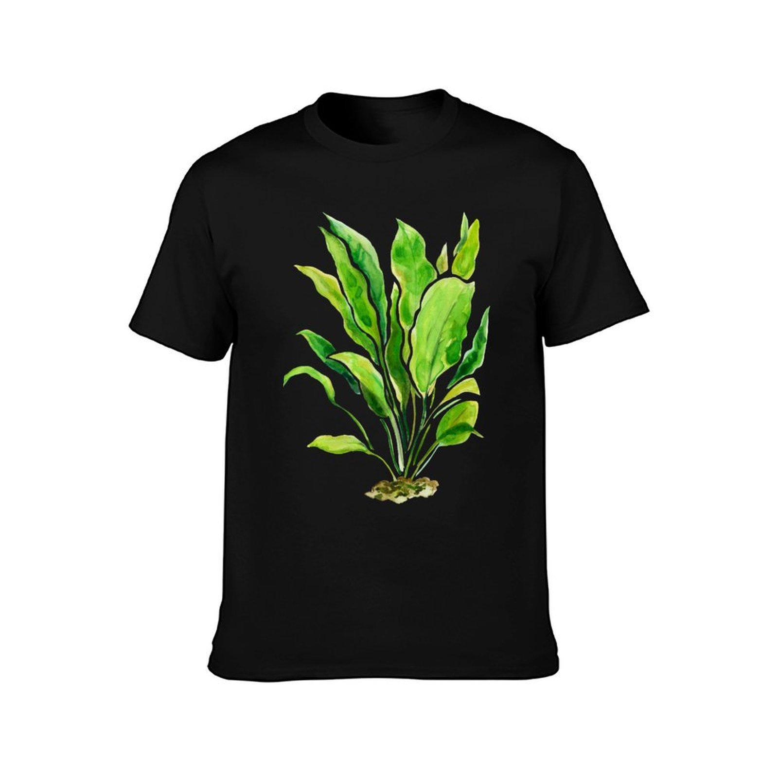 Aquarium Plants Series Amazon  - Planted Aquarium Basics review and price