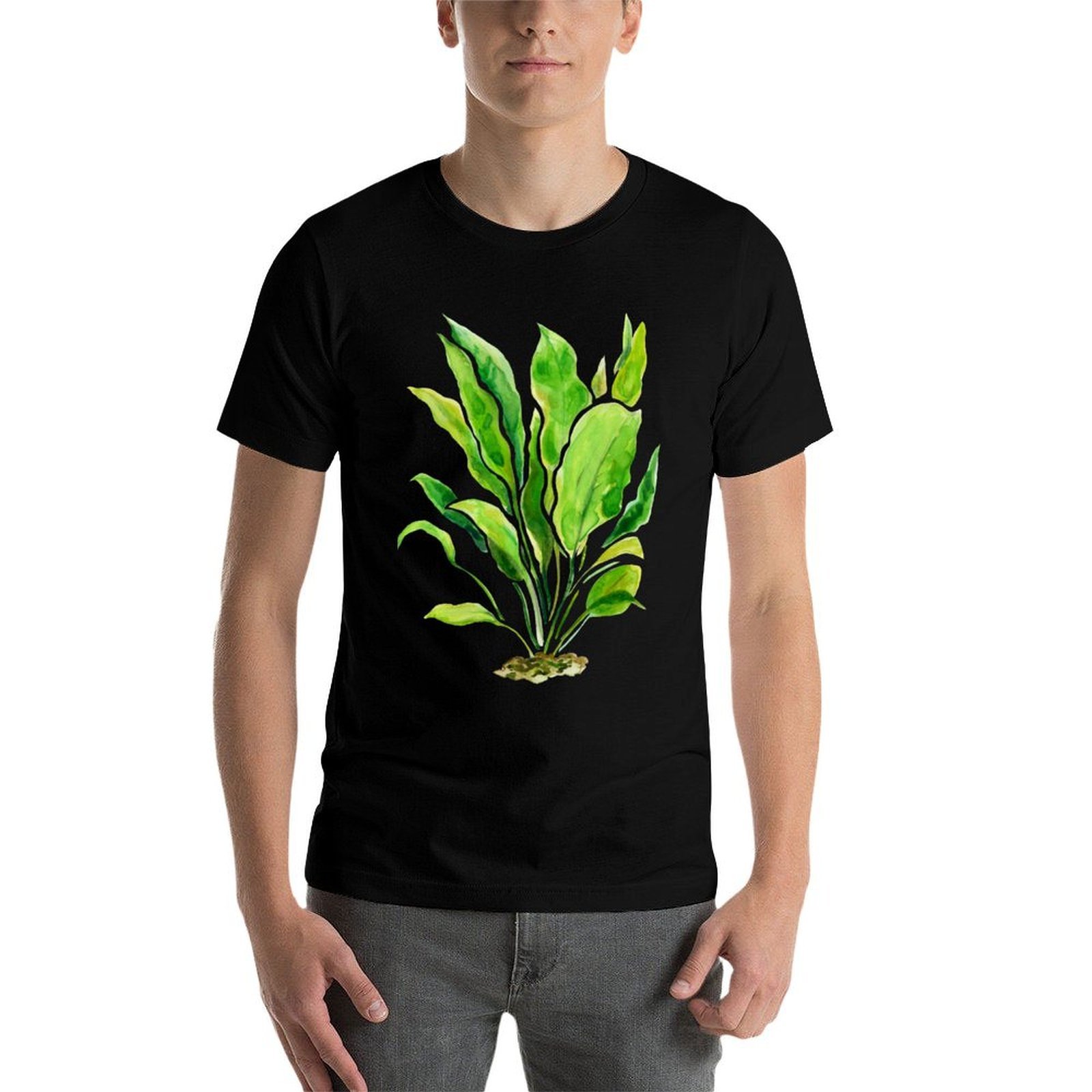 Aquarium Plants Series Amazon  - Planted Aquarium Basics review and price