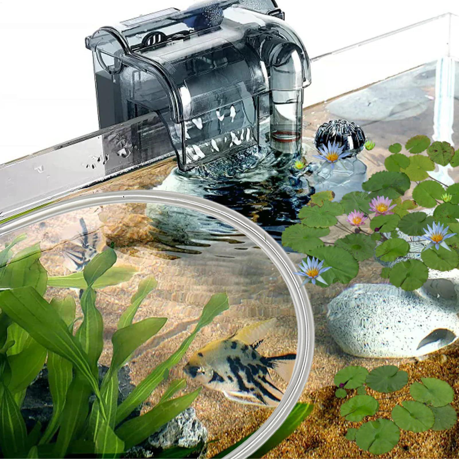 Aquarium Floating Plant Barrie - Planted Aquarium Tank Kit review and price