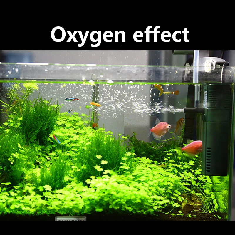 SUNSUN mini nano 111B 311B 611 - Planted Aquarium Mini review and price